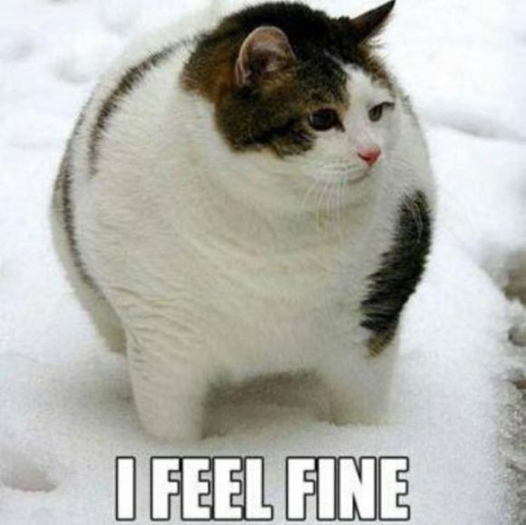 Meet your Posher, Brian - Picture 1 of 1